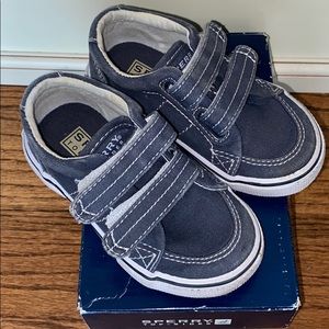 Infant Boys Sperry top sider shoes